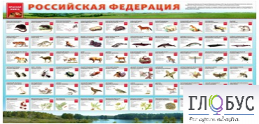 Стенд "Красная книга РФ" - «globural.ru» - Алапаевск