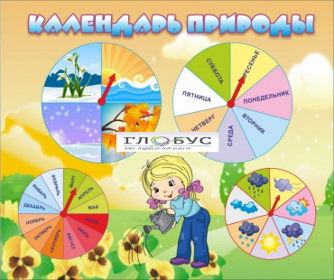 Стенд "Календарь природы" (вариант 1) - «globural.ru» - Алапаевск