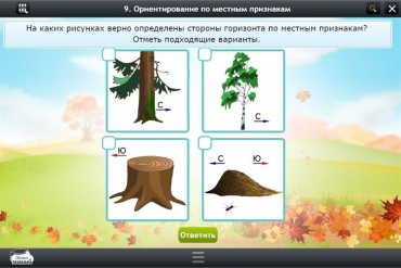 Интерактивные курсы. Окружающий мир 1 класс. Базовый - «globural.ru» - Алапаевск