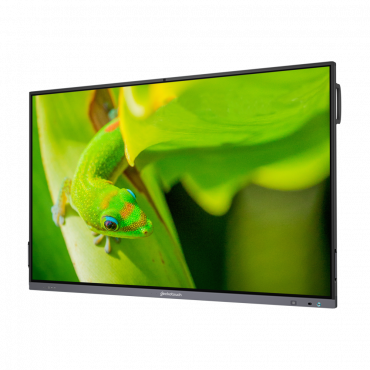 Интерактивный программно-аппаратный комплекс Geckotouch Interactive IP75GT-C в комплекте с настенным креплением - «globural.ru» - Алапаевск