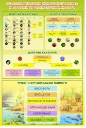 Стенд "Классификация животного мира" - «globural.ru» - Алапаевск